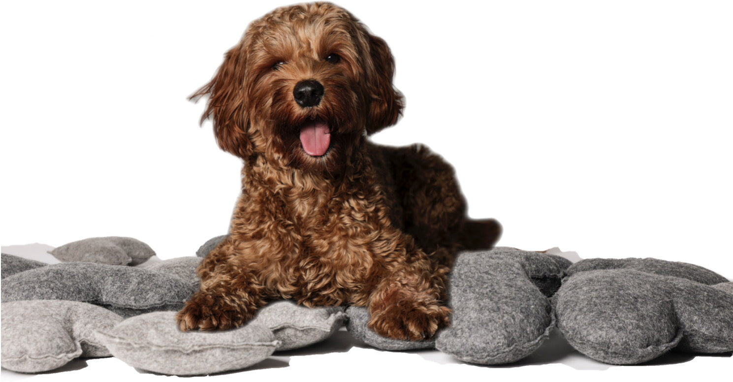 Fiete liegt auf natürlichen Hundespielzeugen von WuffKultur, viele kleine und große Herzen aus naturbelassenem Wollfilz, gefüllt mit Naturwolle und Zirbenholzflocken. Schadstofffrei, nachhaltig und liebevoll handgefertigt.